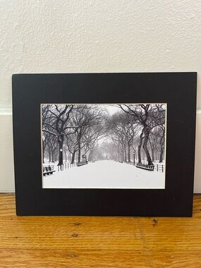 Black Framed Snowy Central Park Photo Print
